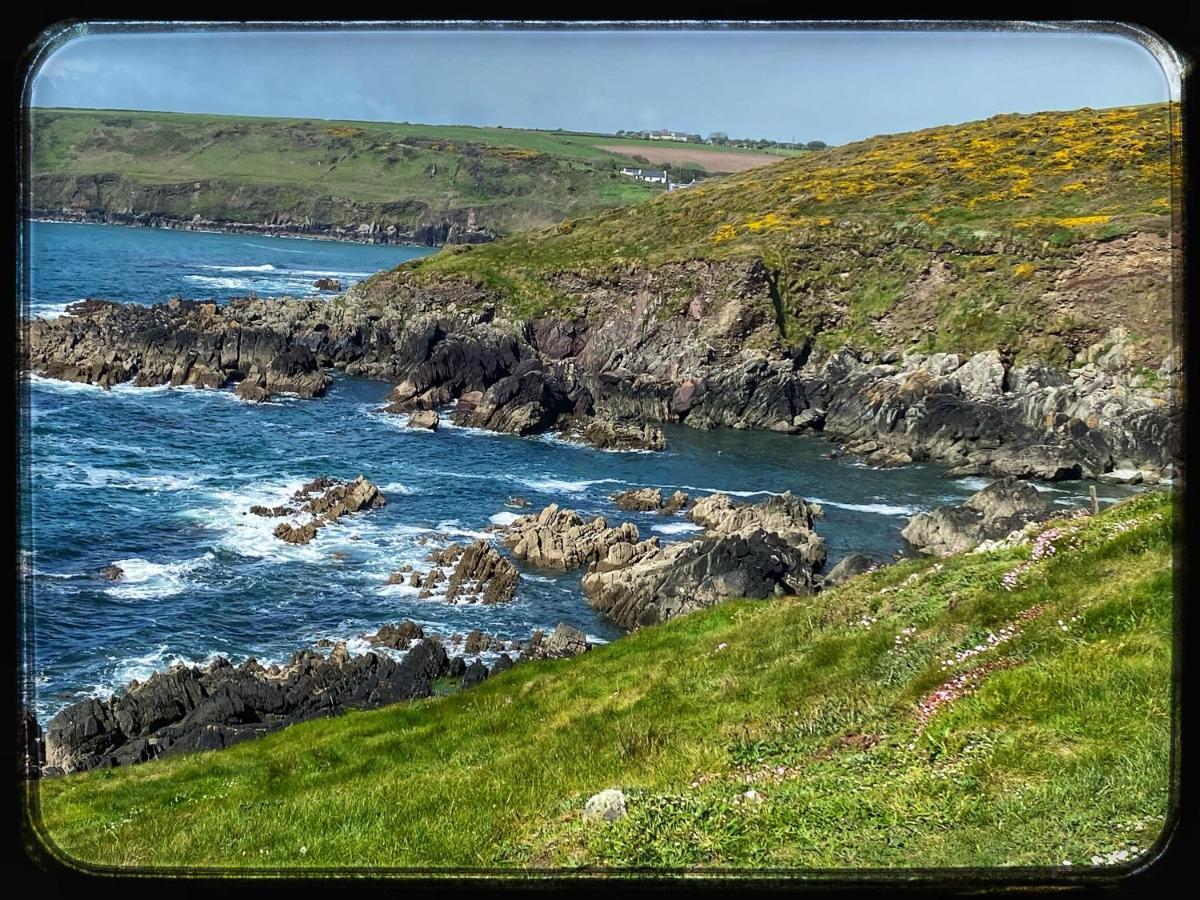 Sanctuary Lodge Cork Dış mekan fotoğraf